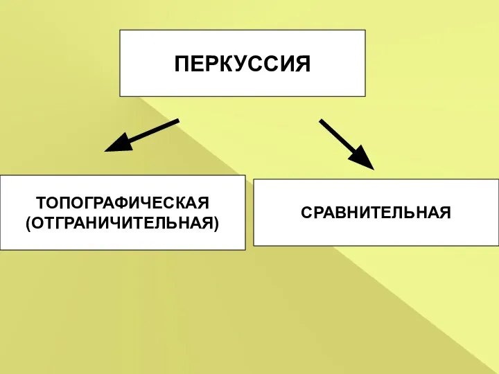 ТОПОГРАФИЧЕСКАЯ (ОТГРАНИЧИТЕЛЬНАЯ) ПЕРКУССИЯ СРАВНИТЕЛЬНАЯ