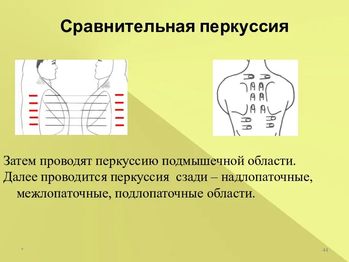 Сравнительная перкуссия Затем проводят перкуссию подмышечной области. Далее проводится перкуссия сзади