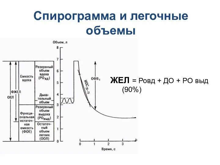 Спирограмма и легочные объемы ЖЕЛ = Ровд + ДО + РО выд (90%)