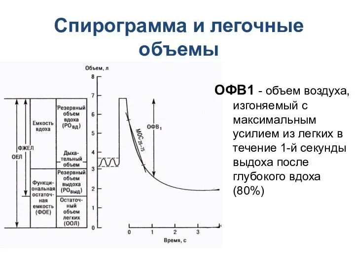 Спирограмма и легочные объемы ОФВ1 - объем воздуха, изгоняемый с максимальным