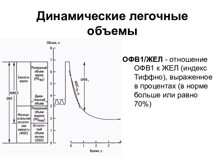 Динамические легочные объемы ОФВ1/ЖЕЛ - отношение ОФВ1 к ЖЕЛ (индекс Тиффно),