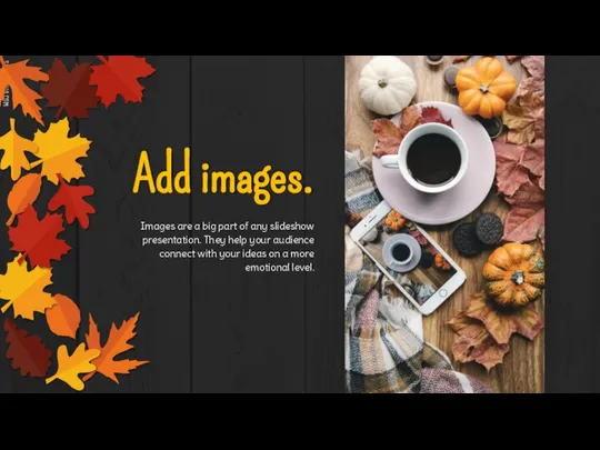 Add images. Images are a big part of any slideshow presentation.