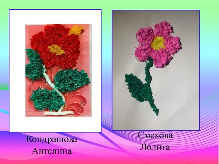 Кондрашова Ангелина Смехова Лолита