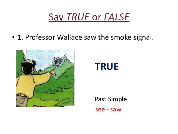 Say TRUE or FALSE 1. Professor Wallace saw the smoke signal.