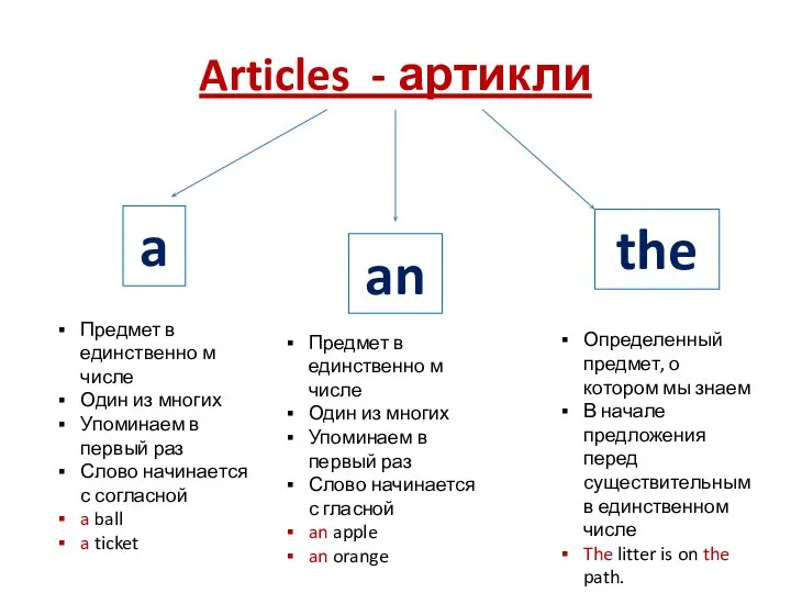 Articles - артикли a an the Предмет в единственно м числе