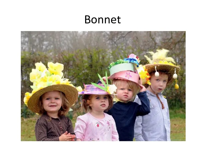 Bonnet