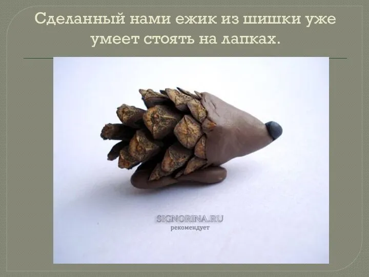 Сделанный нами ежик из шишки уже умеет стоять на лапках.