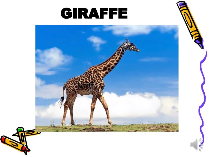 GIRAFFE