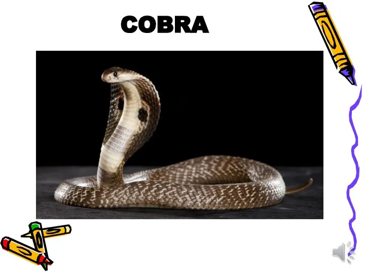 COBRA