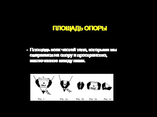 ПЛОЩАДЬ ОПОРЫ Площадь всех частей тела, которыми мы опираемся на опору и пространство, заключенное между ними.