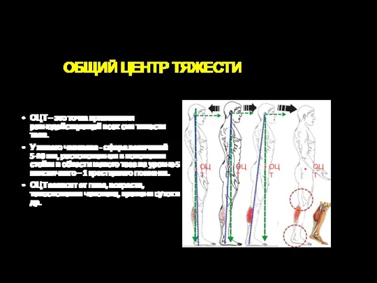 ОБЩИЙ ЦЕНТР ТЯЖЕСТИ ОЦТ – это точка приложения равнодействующей всех сил