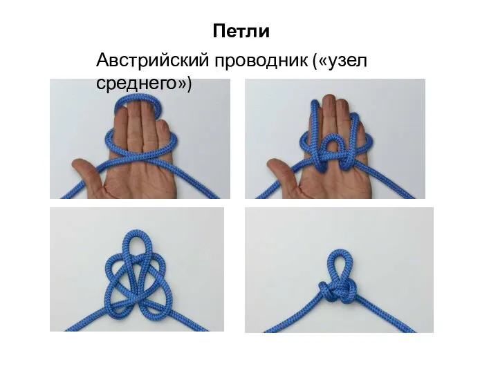 Австрийский проводник («узел среднего») Петли