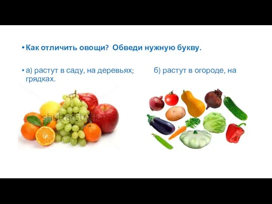 Как отличить овощи? Обведи нужную букву. а) растут в саду, на