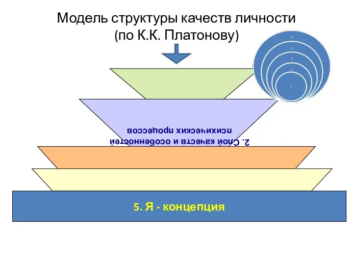 Модель структуры качеств личности (по К.К. Платонову) 1. Слой темперамента 2.