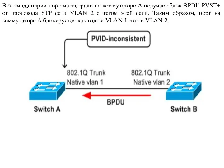 В этом сценарии порт магистрали на коммутаторе A получает блок BPDU