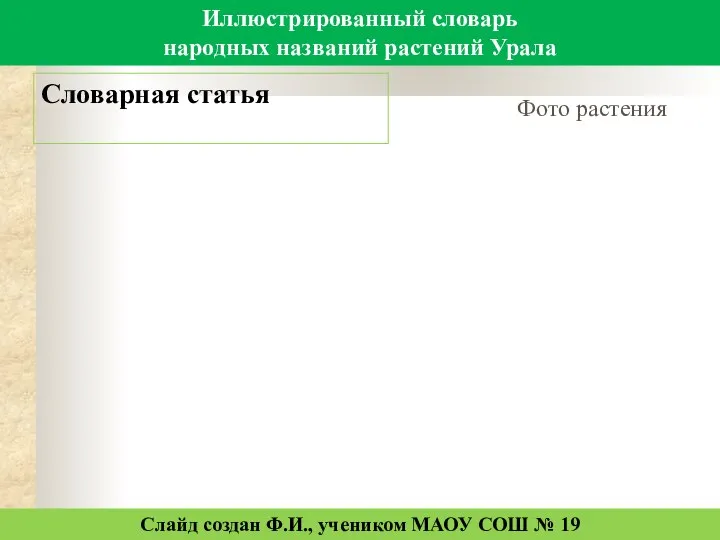 Иллюстрированный словарь народных названий растений Урала Словарная статья Слайд создан Ф.И.,