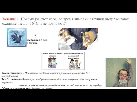 Задание 1. Почему (за счёт чего) во время зимовки лягушки выдерживают