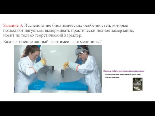 Задание 3. Исследование биохимических особенностей, которые позволяют лягушкам выдерживать практически полное