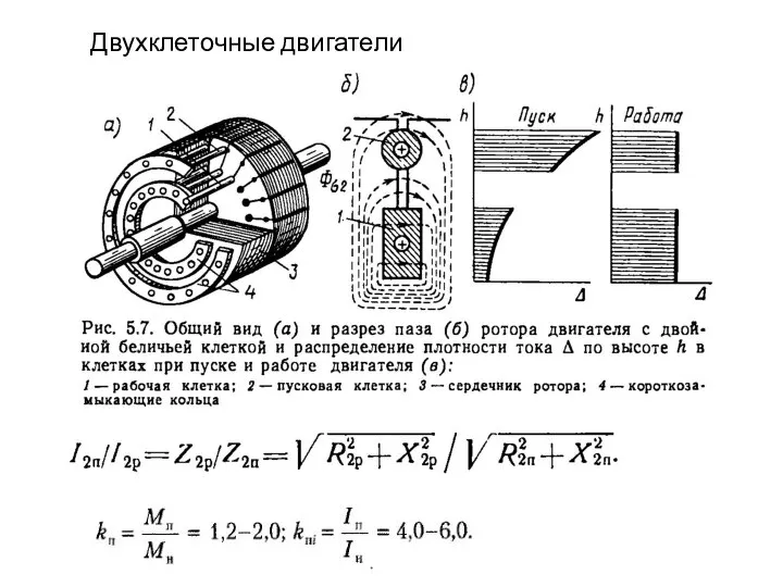 Двухклеточные двигатели