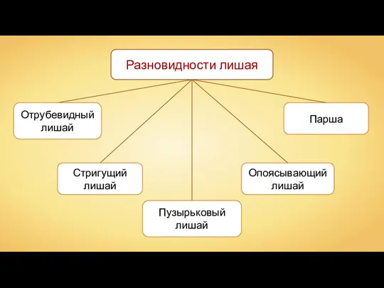 Опоясывающий лишай Отрубевидный лишай Разновидности лишая Стригущий лишай Пузырьковый лишай Парша