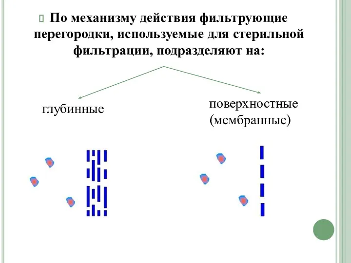 По механизму действия фильтрующие перегородки, используемые для стерильной фильтрации, подразделяют на: глубинные поверхностные (мембранные)