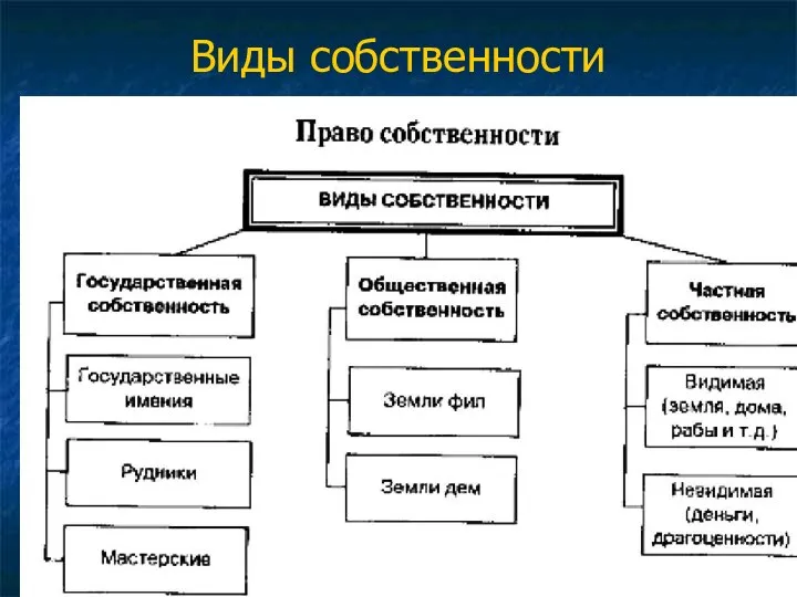 Виды собственности