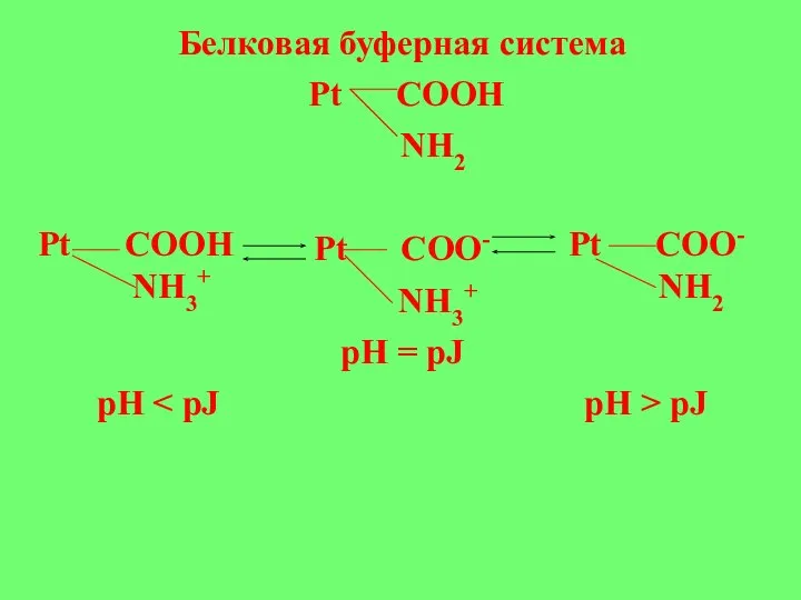 Белковая буферная система Pt COOH NH2 Pt COO- NH3+ pH =