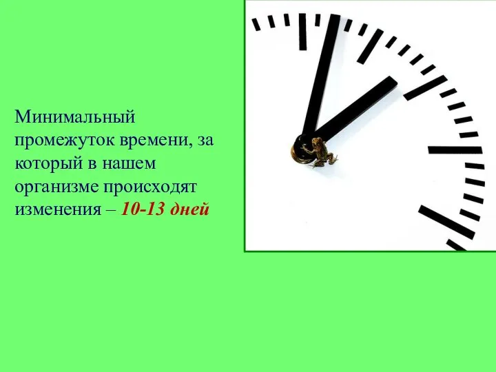 Минимальный промежуток времени, за который в нашем организме происходят изменения – 10-13 дней