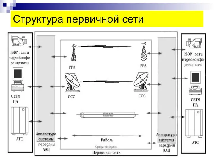 Структура первичной сети