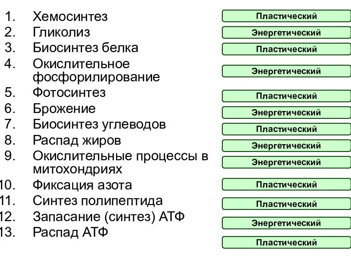 Хемосинтез Гликолиз Биосинтез белка Окислительное фосфорилирование Фотосинтез Брожение Биосинтез углеводов Распад