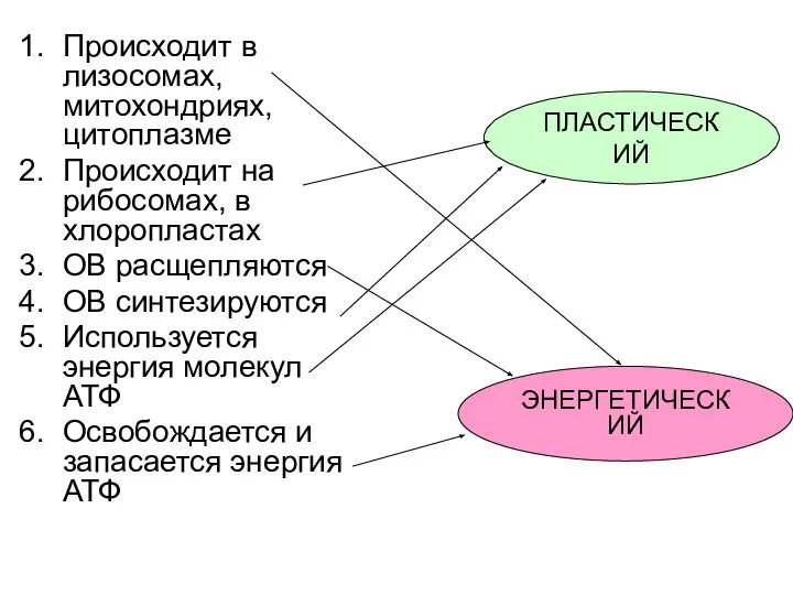 Происходит в лизосомах, митохондриях, цитоплазме Происходит на рибосомах, в хлоропластах ОВ