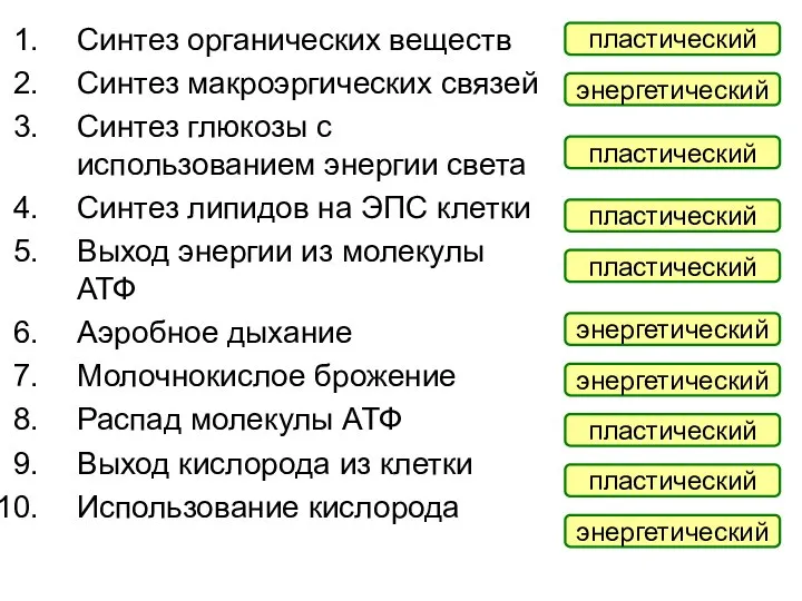 Синтез органических веществ Синтез макроэргических связей Синтез глюкозы с использованием энергии