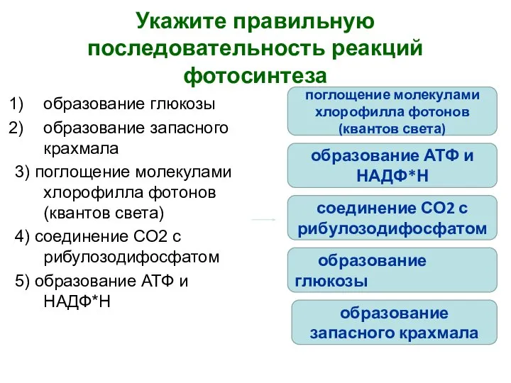 Укажите правильную последовательность реакций фотосинтеза образование глюкозы образование запасного крахмала 3)