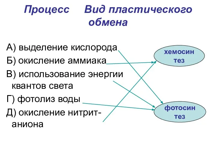 Процесс Вид пластического обмена А) выделение кислорода Б) окисление аммиака В)