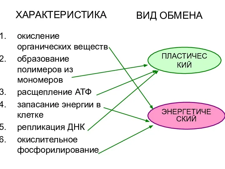 ХАРАКТЕРИСТИКА окисление органических веществ образование полимеров из мономеров расщепление АТФ запасание