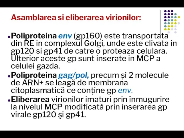 Asamblarea si eliberarea virionilor: Poliproteina env (gp160) este transportata din RE