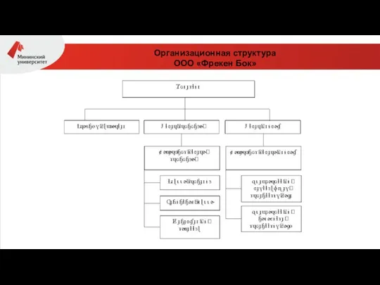 Организационная структура ООО «Фрекен Бок»