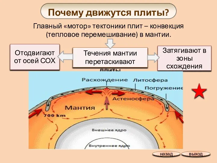 Почему движутся плиты? Отодвигают от осей СОХ Затягивают в зоны схождения