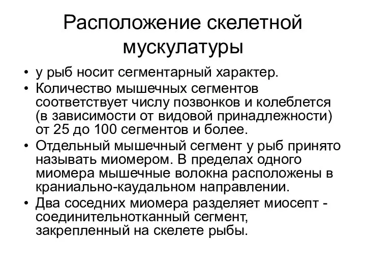 Расположение скелетной мускулатуры у рыб носит сегментарный характер. Количество мышечных сегментов