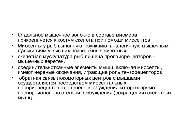 Отдельное мышечное волокно в составе миомера прикрепляется к костям скелета при