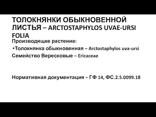 ТОЛОКНЯНКИ ОБЫКНОВЕННОЙ ЛИСТЬЯ – ARCTOSTAPHYLOS UVAE-URSI FOLIA Производящее растение: Толокнянка обыкновенная