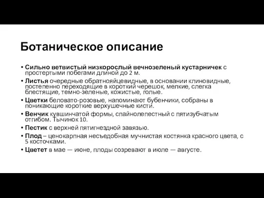 Ботаническое описание Сильно ветвистый низкорослый вечнозеленый кустарничек с простертыми побегами длиной