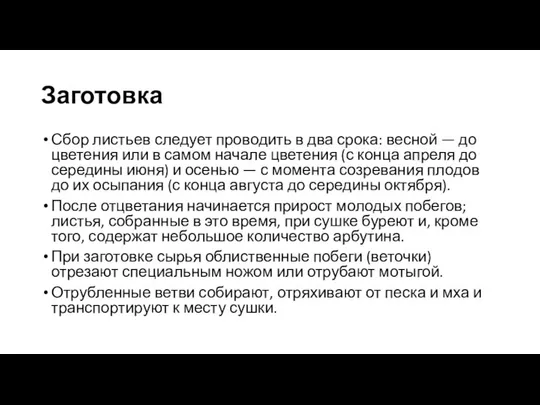 Заготовка Сбор листьев следует проводить в два срока: весной — до