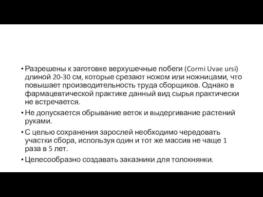 Разрешены к заготовке верхушечные побеги (Cormi Uvae ursi) длиной 20-30 см,