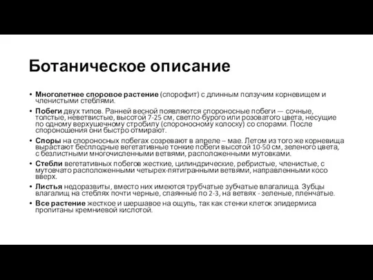 Ботаническое описание Многолетнее споровое растение (спорофит) с длинным ползучим корневищем и