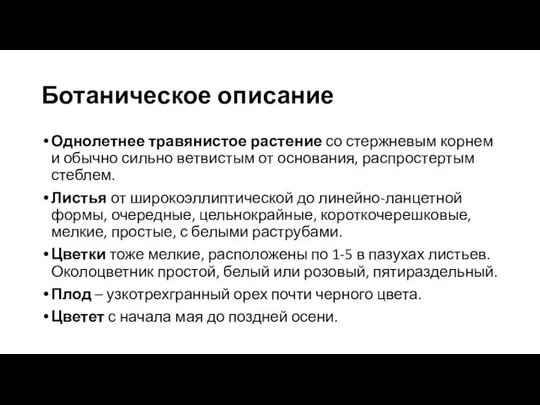 Ботаническое описание Однолетнее травянистое растение со стержневым корнем и обычно сильно