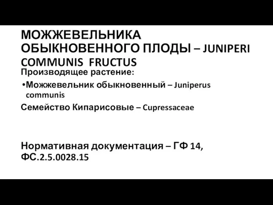 МОЖЖЕВЕЛЬНИКА ОБЫКНОВЕННОГО ПЛОДЫ – JUNIPERI COMMUNIS FRUCTUS Производящее растение: Можжевельник обыкновенный