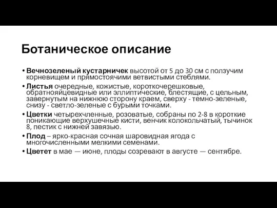 Ботаническое описание Вечнозеленый кустарничек высотой от 5 до 30 см с