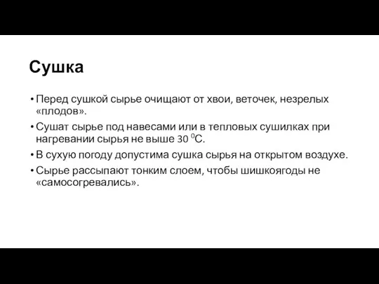 Сушка Перед сушкой сырье очищают от хвои, веточек, незрелых «плодов». Сушат