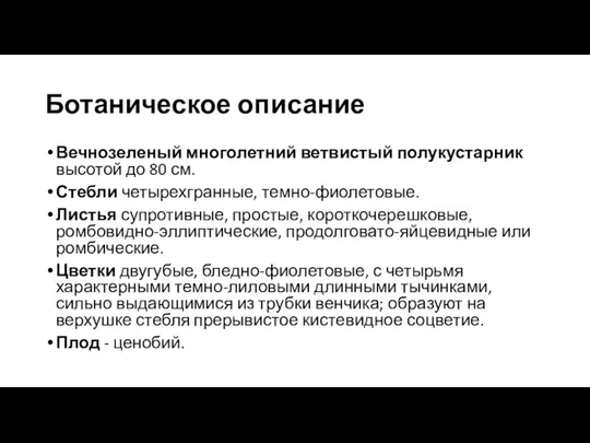 Ботаническое описание Вечнозеленый многолетний ветвистый полукустарник высотой до 80 см. Стебли